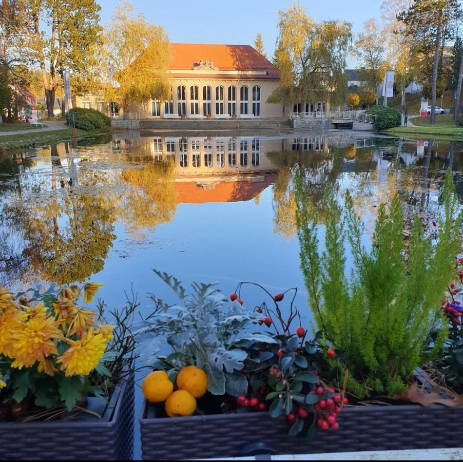 Hotel Garni Schloss Schoenberg バート・ブラムバッハ エクステリア 写真